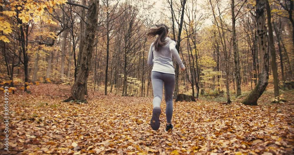 wide 4k shot of young sporty female running in beautiful autumn forest. Exercising outdoors in cold weather wide 4k shot of young sporty female running in beautiful autumn forest. Exercising outdoors in cold weather