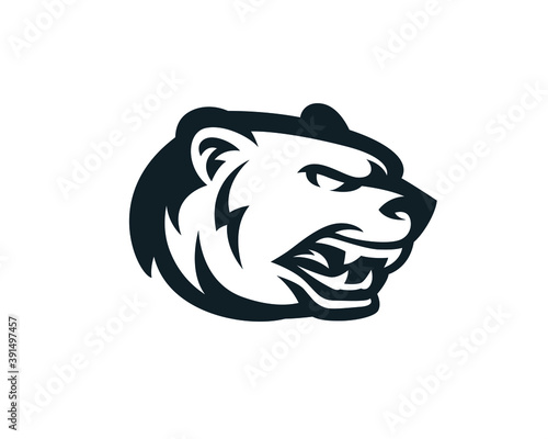 Angry agressive bear head sports logo mascot. Modern vector concept