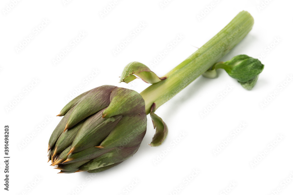 Carciofo spinoso biologico sardo isolato su fondo bianco Carciofo spinoso biologico sardo isolato su fondo bianco