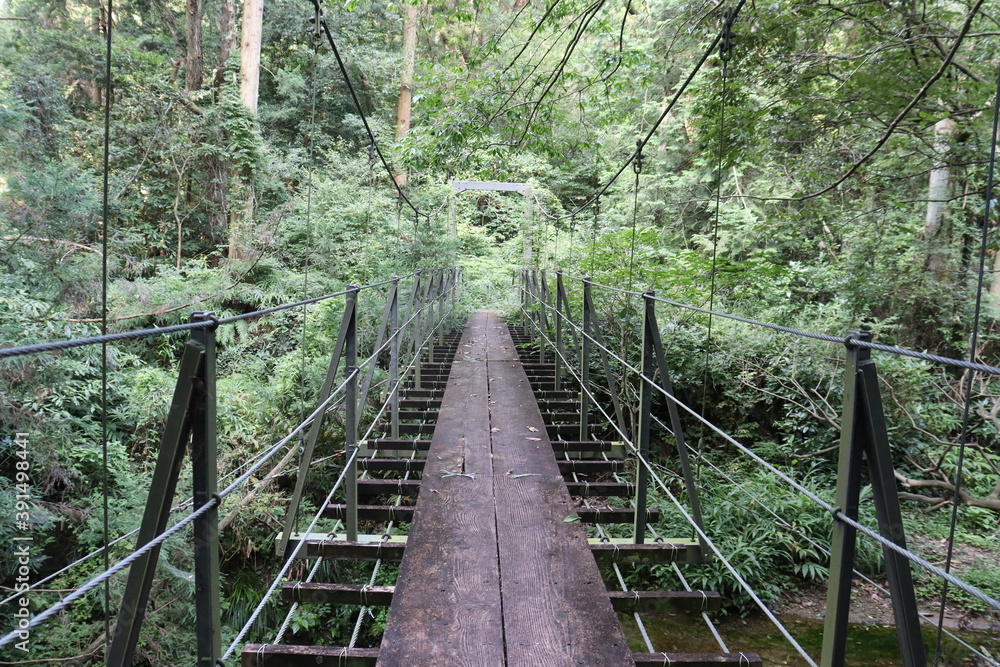 Fototapeta premium wooden bridge in the forest