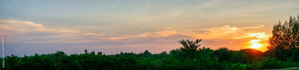 panorama  beautiful sunset in the field