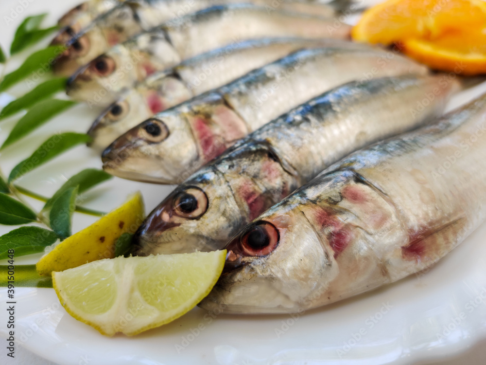 Close up view of Fresh Indian oil sardine ,Decorated with herbs and Vegetables.White Background. Close up view of Fresh Indian oil sardine ,Decorated with herbs and Vegetables.White Background.