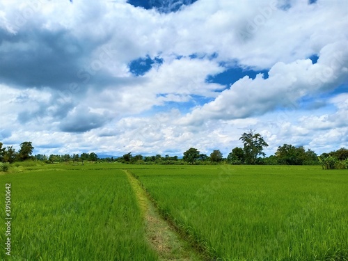 Dramatic blue sky with green fields in the countryside