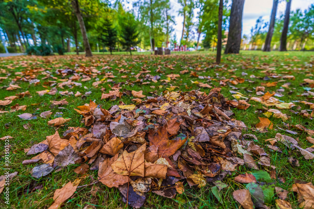 a beautiful autumn landscape in the park on an October day a beautiful autumn landscape in the park on an October day