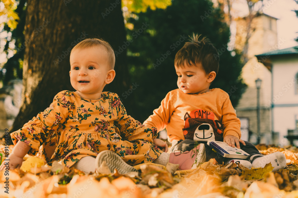 happy little twins, baby girl and baby boy laughing and playing in the autumn on the nature walk outdoors happy little twins, baby girl and baby boy laughing and playing in the autumn on the nature walk outdoors