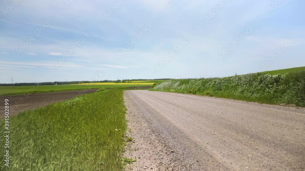 Strong wind plays with grass by the gravel road Strong wind plays with grass by the gravel road