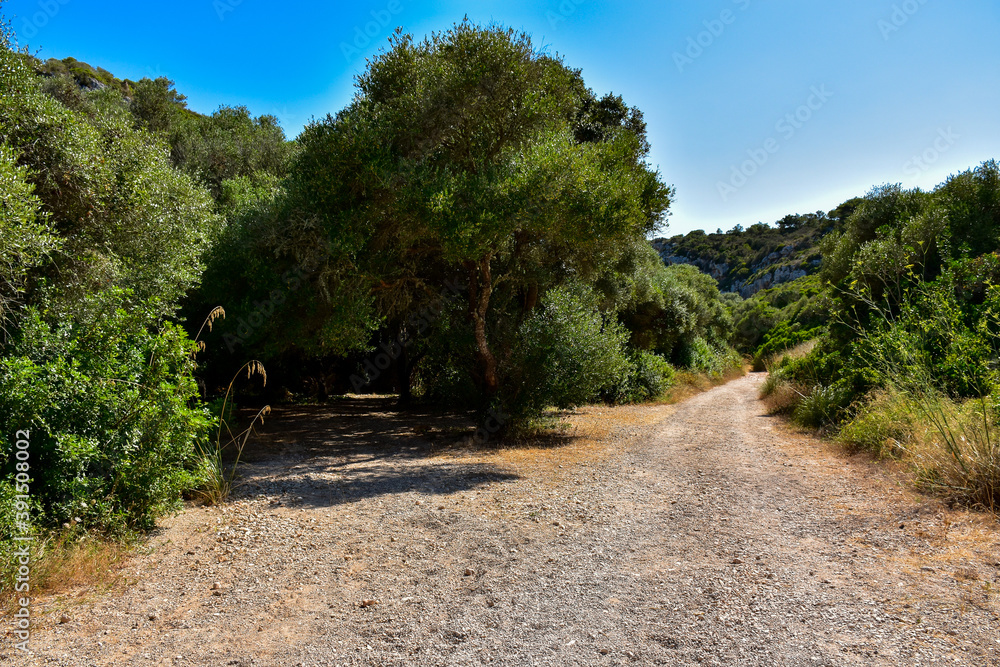 Dirt road in Menorca island landscape