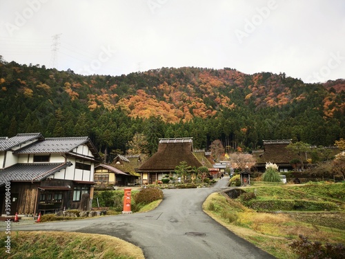 Traditional thatched roof in japanese houses with autumn foliage. Kayabuki no Sato, Nantan, Miyama,  Japan photo