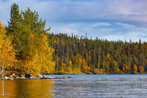 Forest with colorful foliage on the shores of Lake Imandra. Autumn landscape, Kola Peninsula, Russia. photo