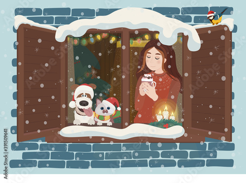 On Christmas night a girl and her dog and cat looks up at the sky out of the window, waiting for Santa Claus. The interior of the house is illuminated for Christmas.