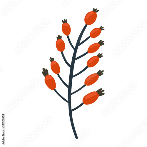 Vector illustration: sprig of rose hips in hand draw hygge style.