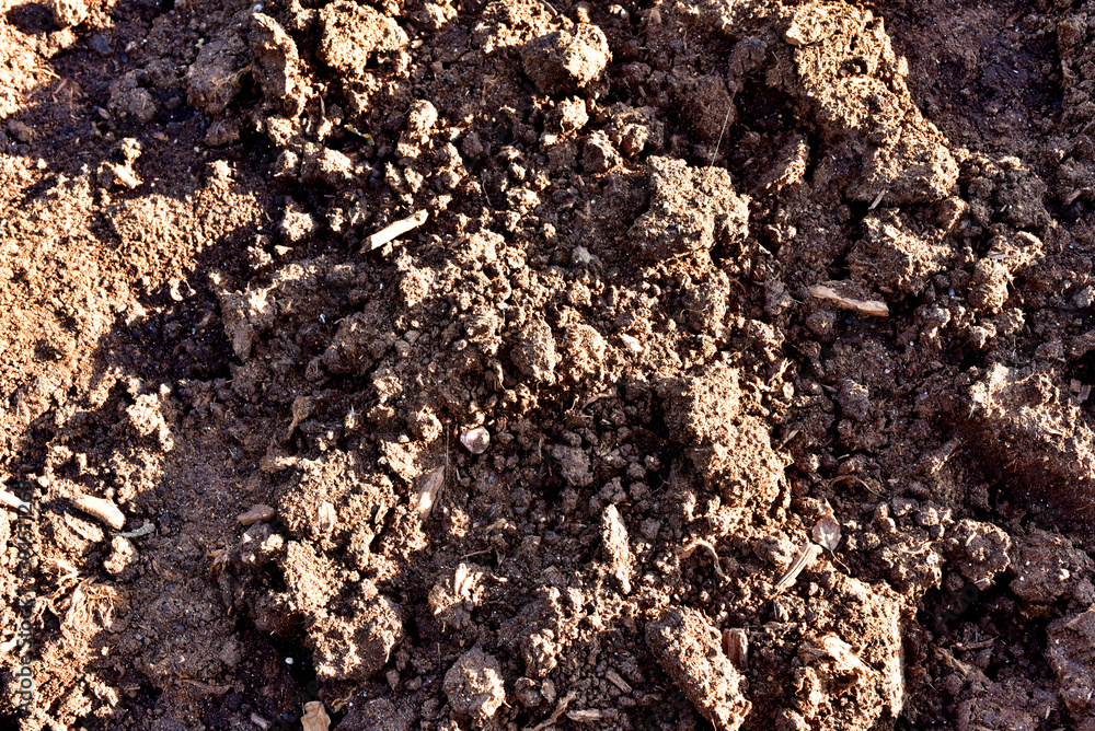 The texture of the ground layer of the earth. Sand background The texture of the ground layer of the earth. Sand background