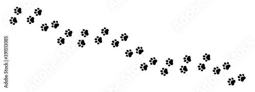 Pet prints. Paw pattern. Footprints for pets, dog or cat. Foot puppy. Black silhouette shape paw print. Footprint pet. Animal track. Trace dogs, cats. Cute background turn right. Design walks. Vector