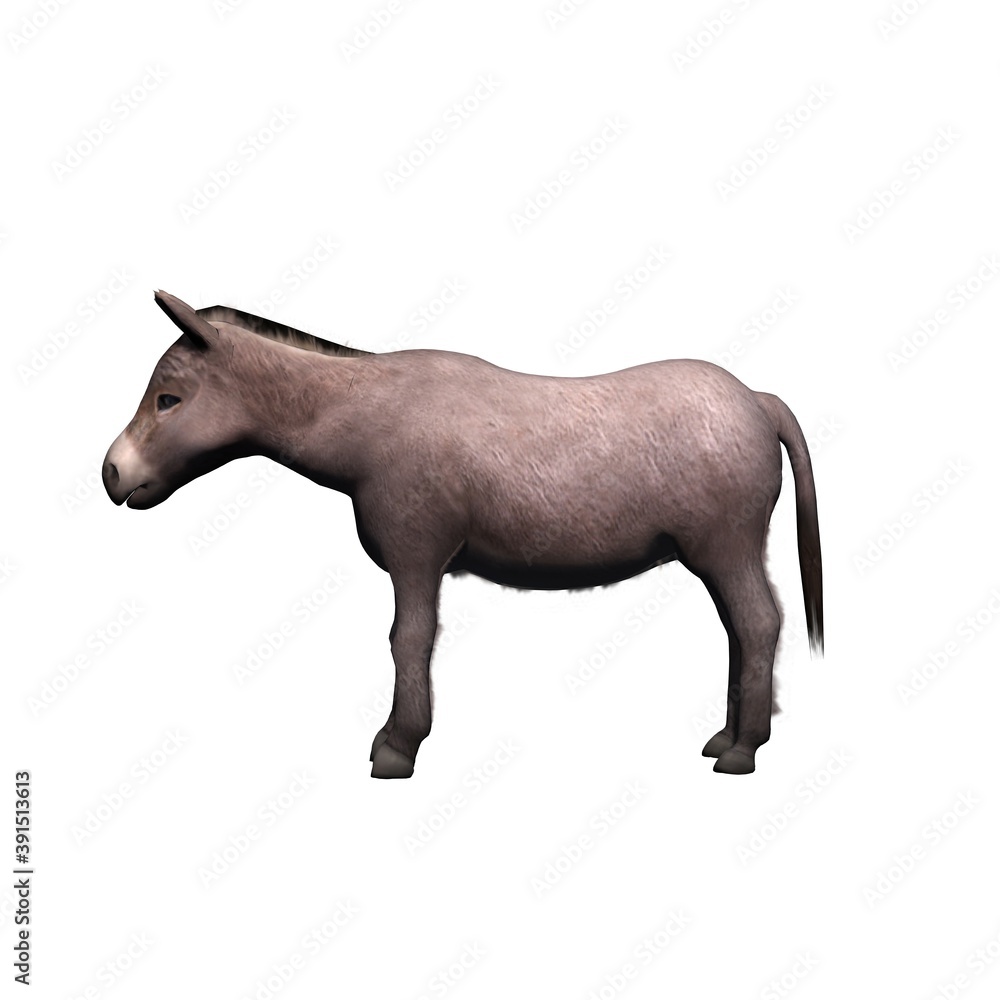 Farm animals - donkey - isolated on white background - 3D illustration Farm animals - donkey - isolated on white background - 3D illustration