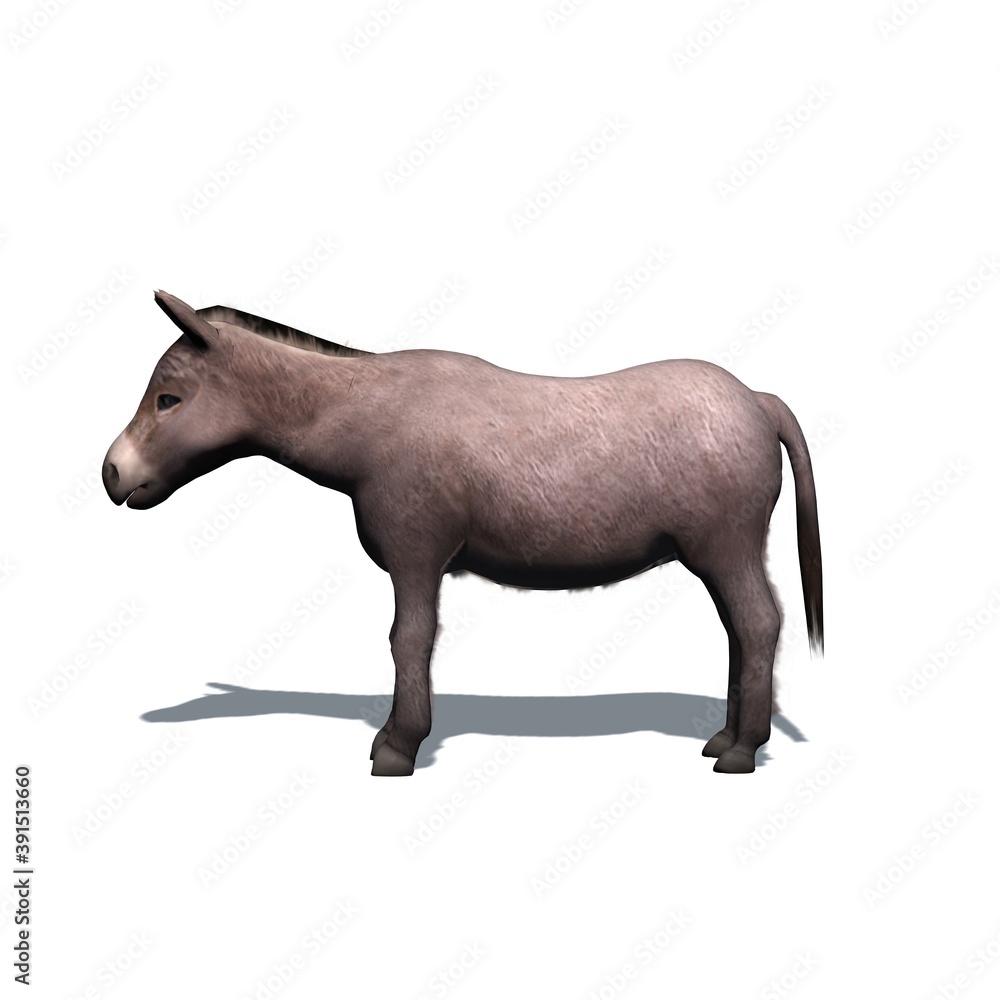 Farm animals - donkey - isolated on white background - 3D illustration Farm animals - donkey - isolated on white background - 3D illustration