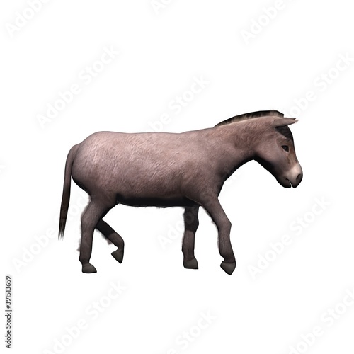 Farm animals - donkey - isolated on white background - 3D illustration