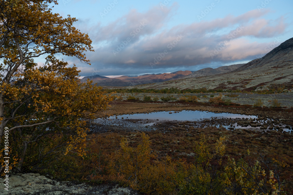 Autumn in Dørålen, Rondane, Norway.