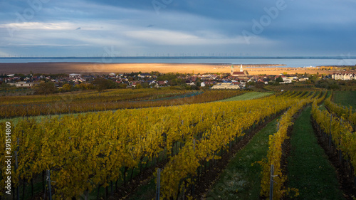 View on vilage of rust in Burgenland with lake neusiedlersee