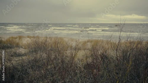 Baltic winter storm on a background of sand dunes