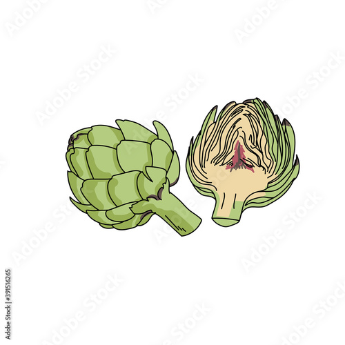 Healthy green vegetable artichoke, whole and half fruit, healthy eating