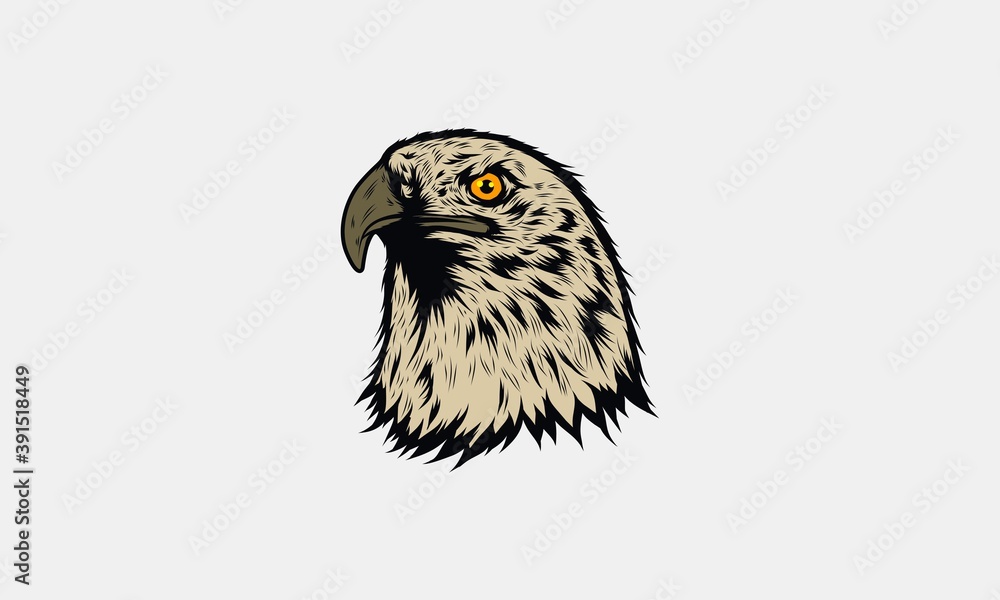 Fototapeta premium Bald Eagle Head Vector Illustration #2