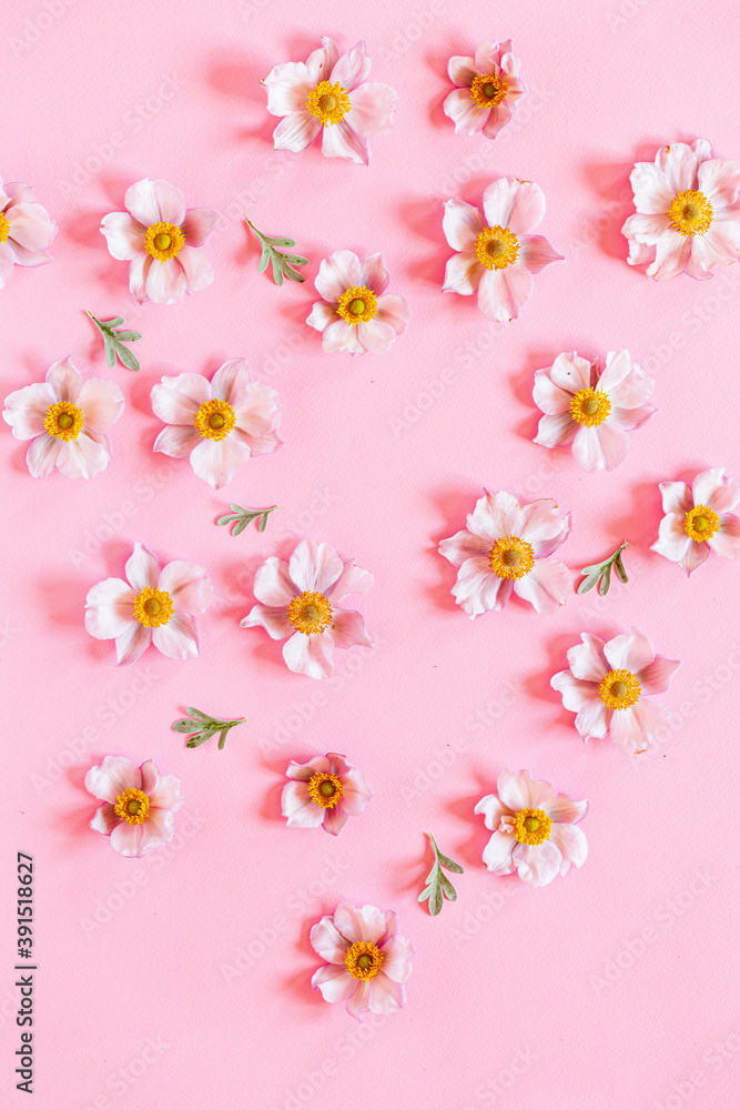 japanese anemone on the pink background