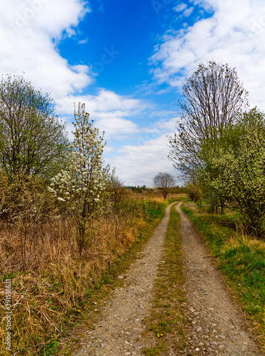 Country road in spring in vertical view.