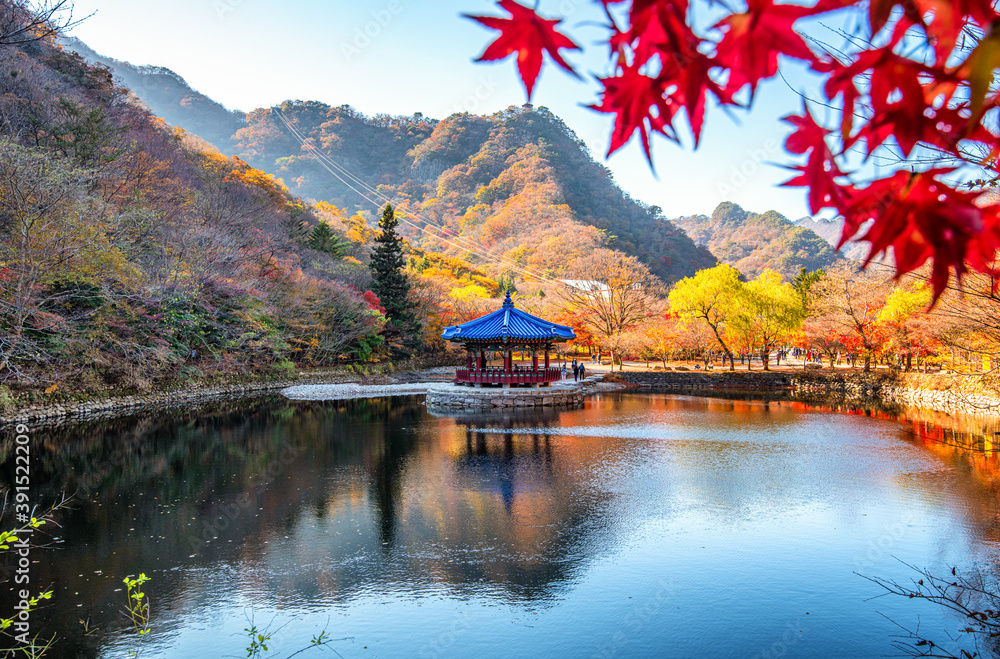 autumn in the mountains