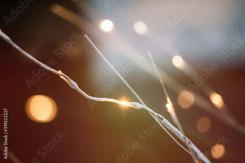 Bokeh picture of small and sparkling fairy light on white Christmas tree 