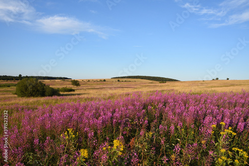 Auf dem Erzgebirgskamm bei Adolfsgrün im Grenzgebiet 