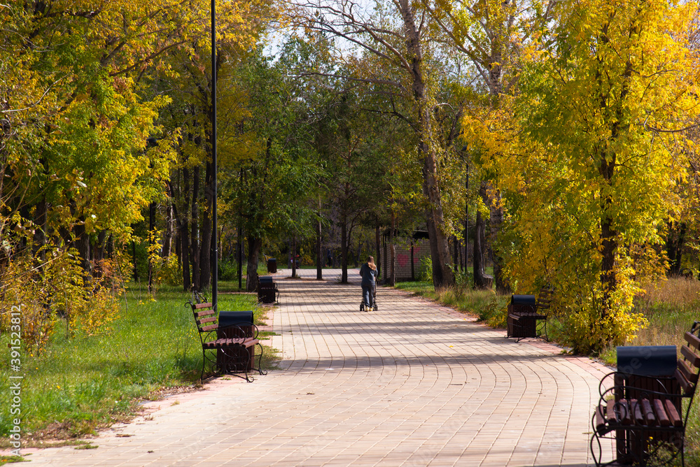 Walking path with benches in the autumn Park.A woman with a pram walks along the alley on a Sunny day