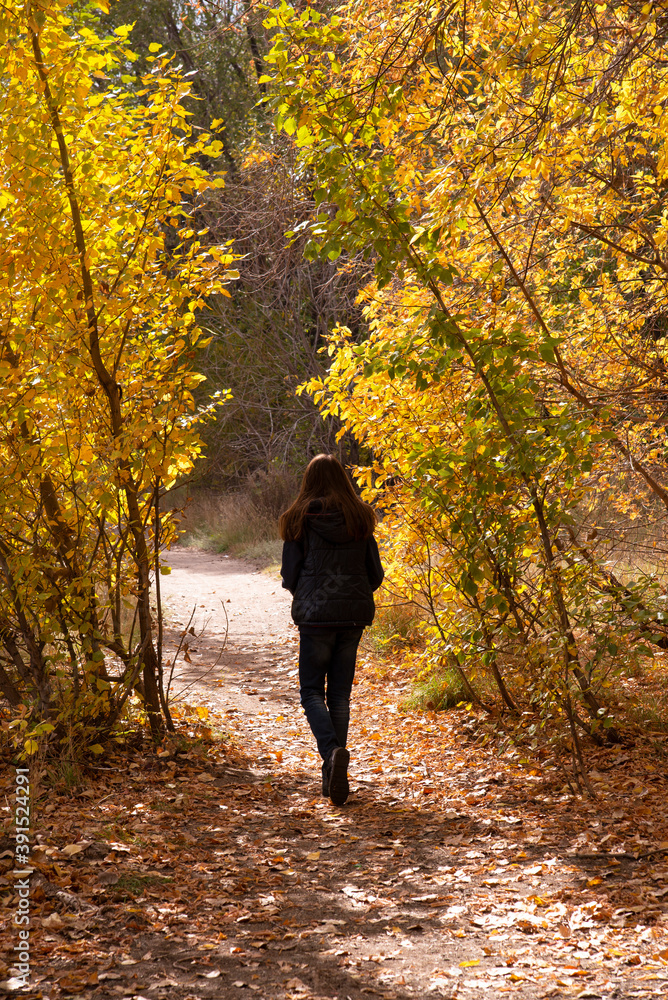 Figure of a girl with long hair walking in an autumn Park on fallen yellow leaves. Sunny autumn day in the forest