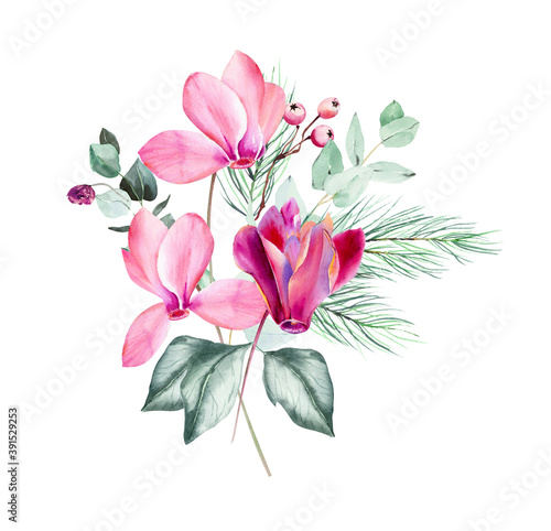 Fotografía Watercolor Pink cyclamen and  poinsettia clipart with eucalyptus leaves