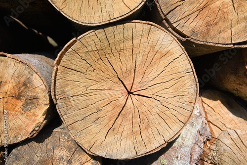 stack of firewood