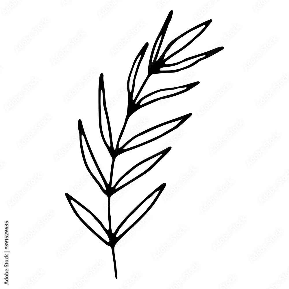 Floral hand drawn doodle icon for social media story. Ink drawn branch Floral hand drawn doodle icon for social media story. Ink drawn branch