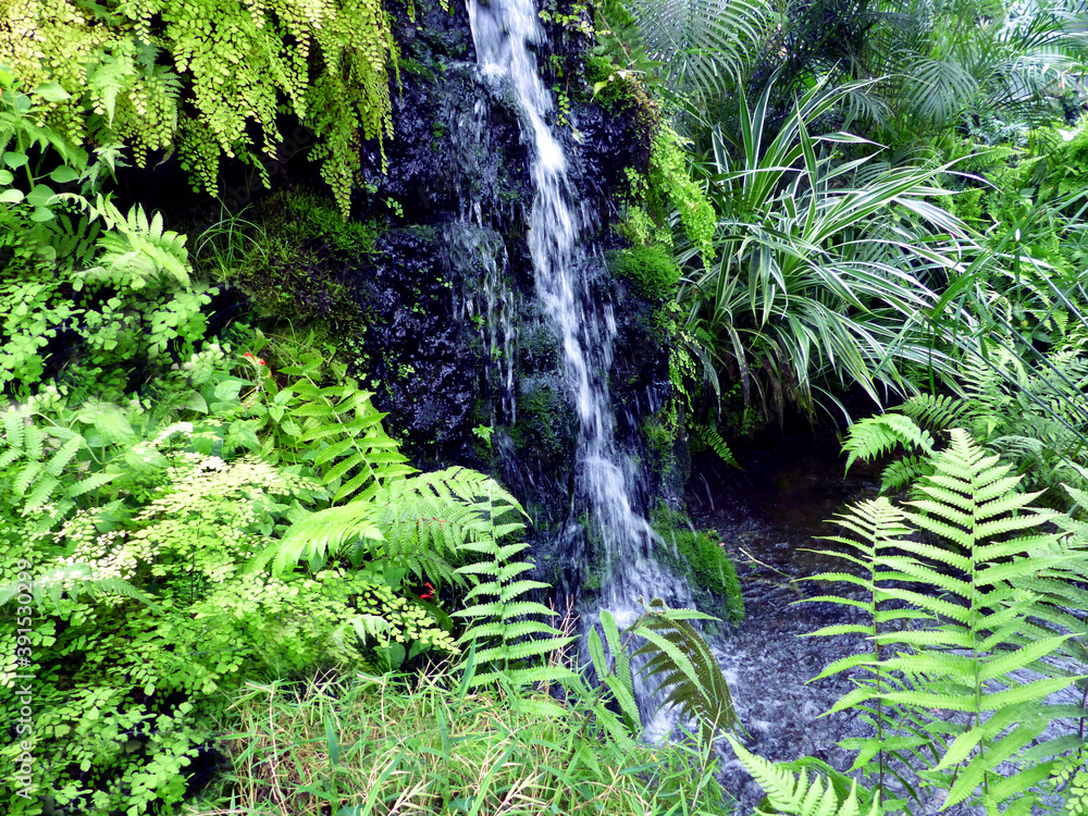 Fototapeta premium Peaceful tropical scenery 01