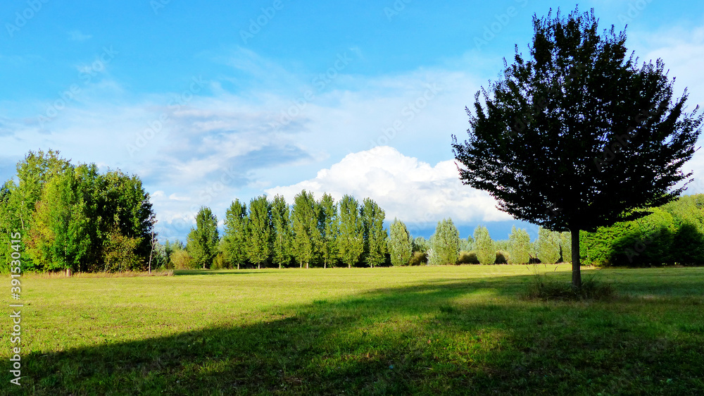 Fototapeta premium Peaceful scenery with trees 01