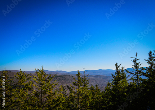Blues Sky Landscape with mountains and pines