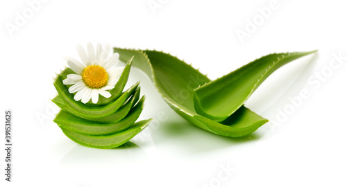 Green leaf aloe vera with chamomile flower on white background. photo