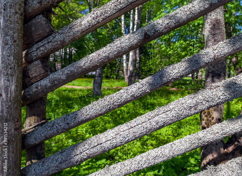 Lichen on the old fence of poles on the background of the Park in the summer