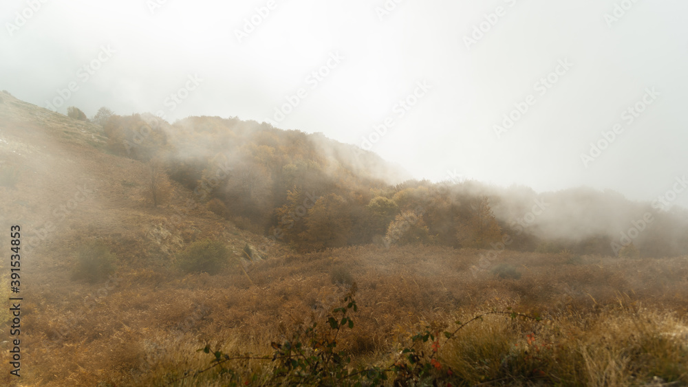 Scenic landscape view with mountain slope in low lying cloud