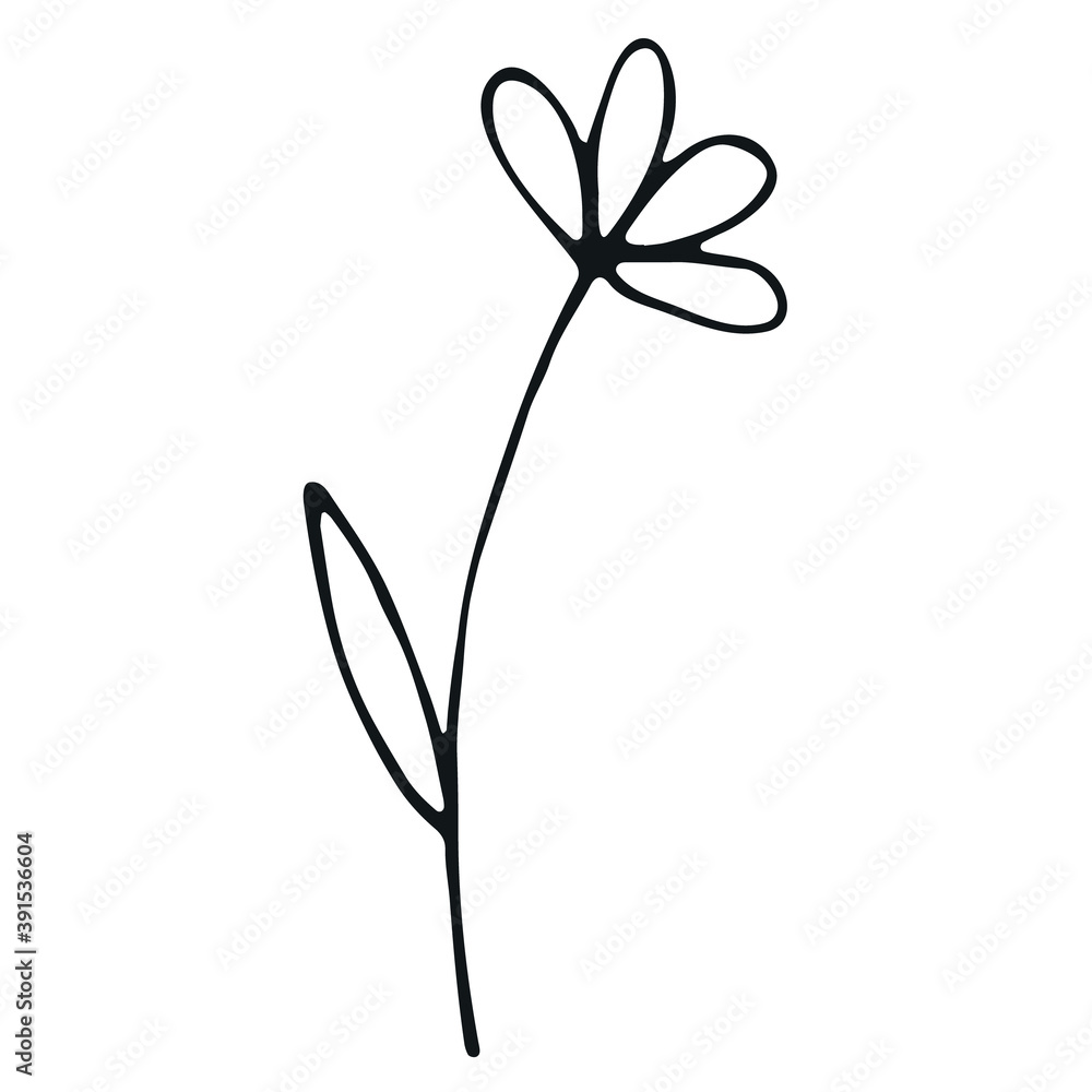 Botanical vector in line art or outline. Botanical vector in line art or outline.