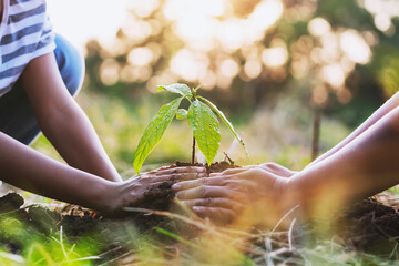 mother with children helping planting tree in nature for save earth. environment eco concept
