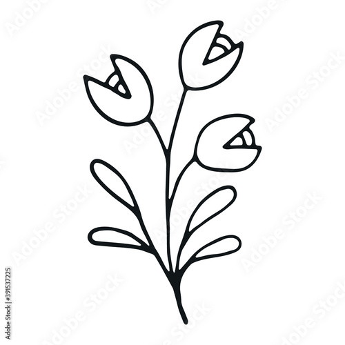Hand drawn flower doodle. Hand drawn wedding herb. Simple floral doodle icon