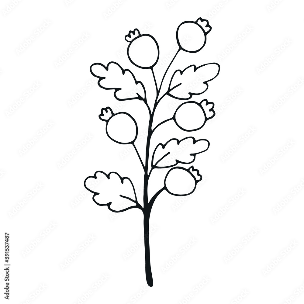 Hand drawn flower doodle element for photo book decoration