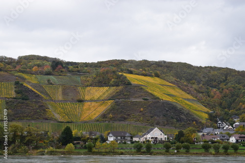 Blick vom Namedyer Werth nach Leutesdorf, Herbstfarben photo