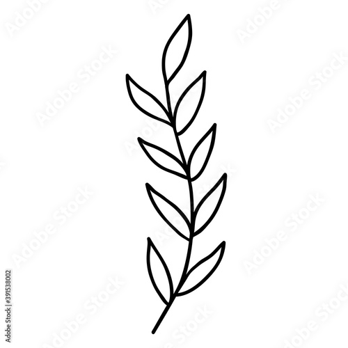 Hand-drawn leaves template