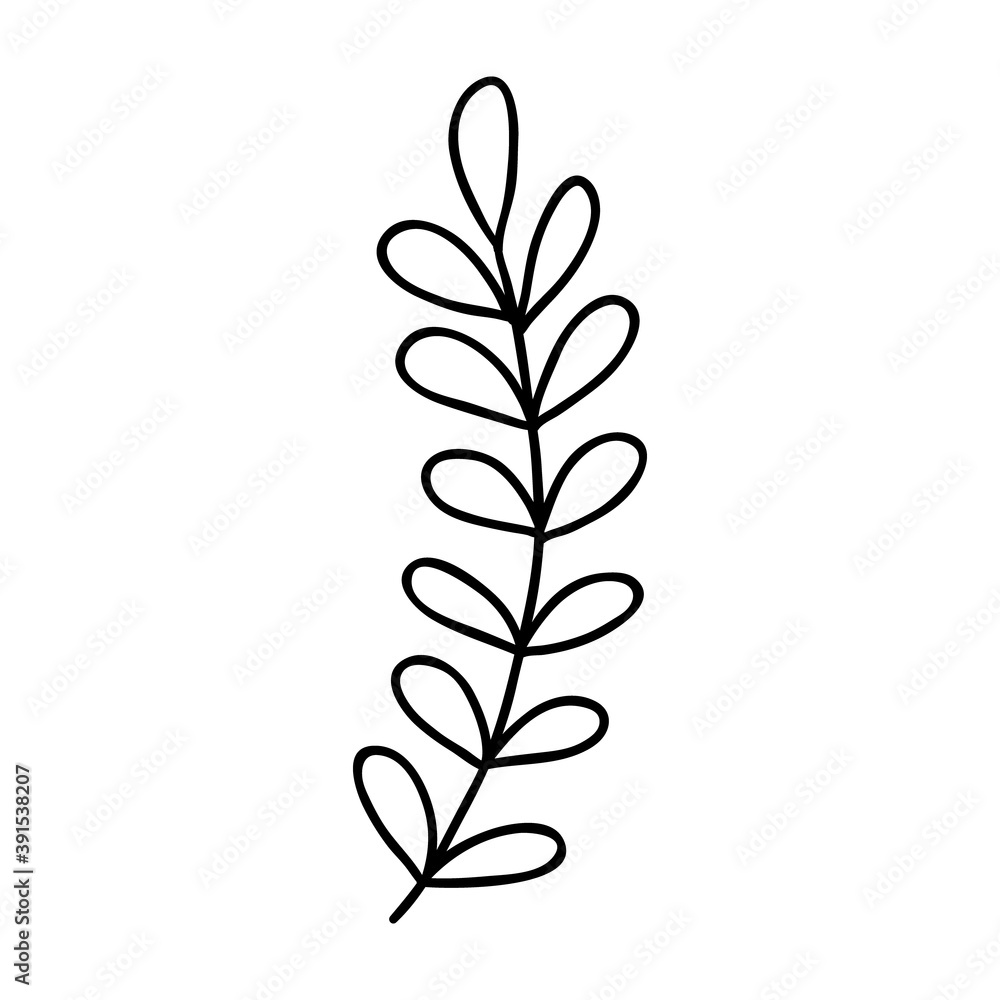 Hand drawn decorative branch with leaves. Single doodle outlne flower