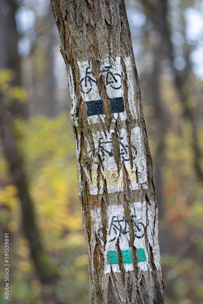 markings of bicycle routes painted on trees, markings of tourist routes ...