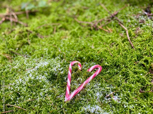 Zuckerstange - Weihnachten